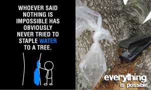 How to Staple Water to a Tree (Lorien Johnson)